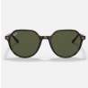 Ray Ban Thalia Havana