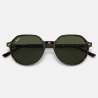 Ray Ban Thalia Havana