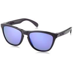 Oakley Frogskins Black Ink