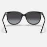 Ray Ban RB4378 Black