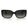 Ray Ban RB4389 Black