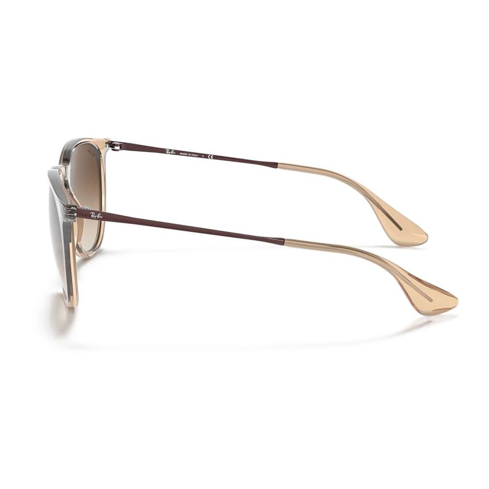 Ray Ban Erika Classic Transparent Light Brown