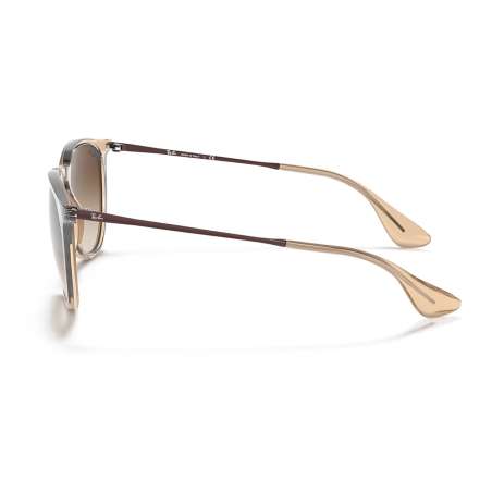 Ray Ban Erika Classic Transparent Light Brown