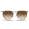 Ray Ban Erika Classic Transparent Light Brown