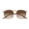 Ray Ban Erika Classic Transparent Light Brown