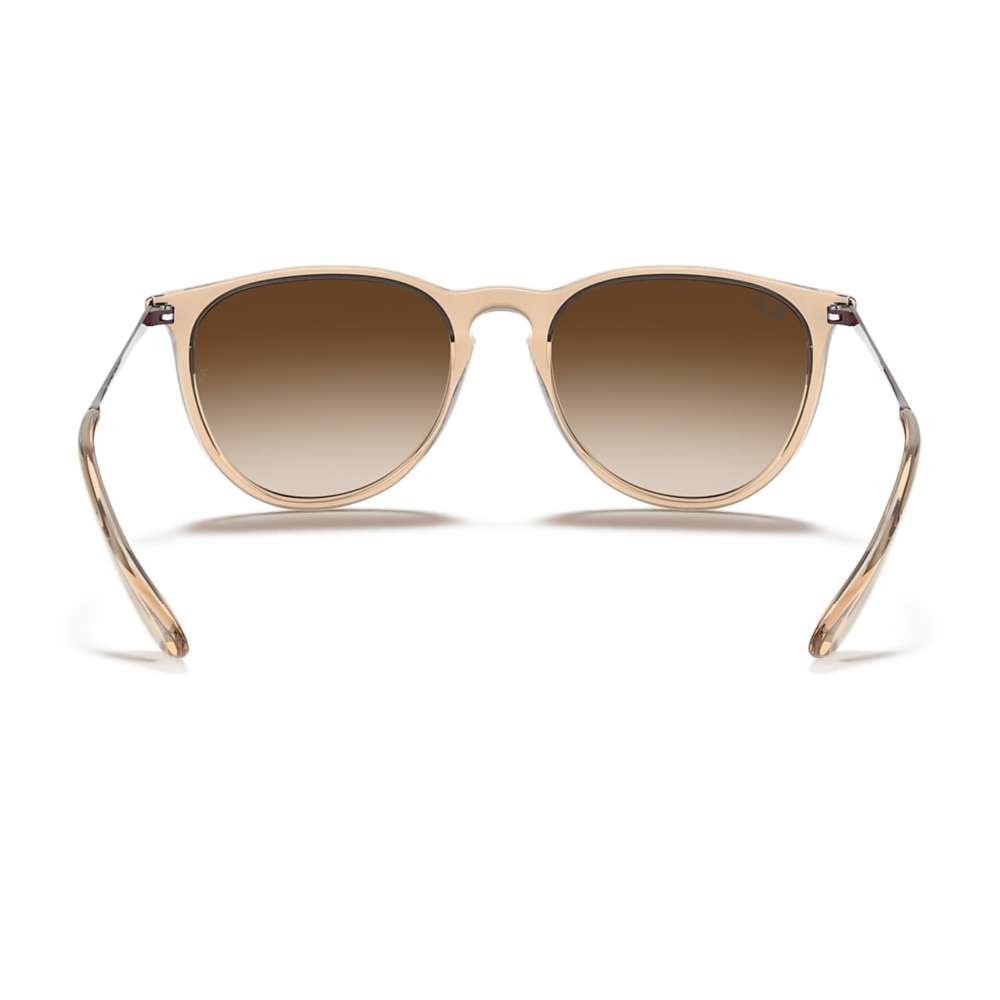 Ray Ban Erika Classic Transparent Light Brown