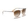 Ray Ban Erika Classic Transparent Light Brown