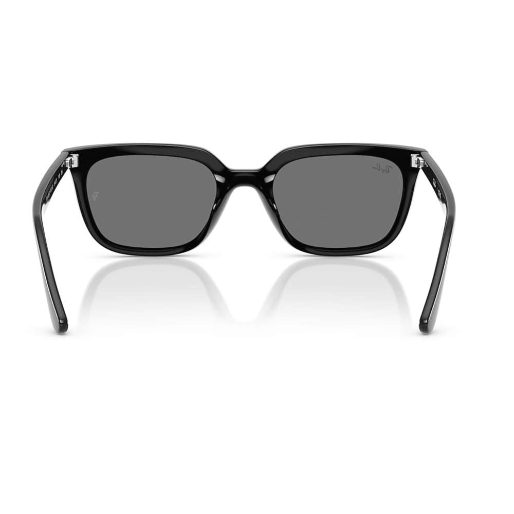 Ray Ban 4439D Noir