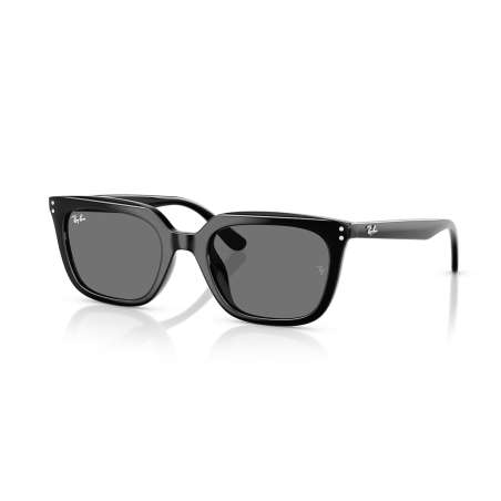Ray Ban 4439D Noir