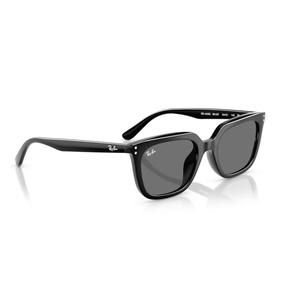 Ray Ban 4439D Noir