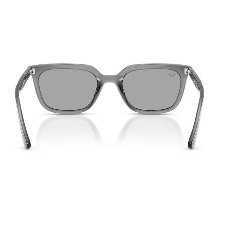 Ray Ban 4439D Transparent Grey