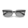 Ray Ban 4439D Transparent Grey