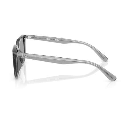 Ray Ban 4439D Transparent Grey