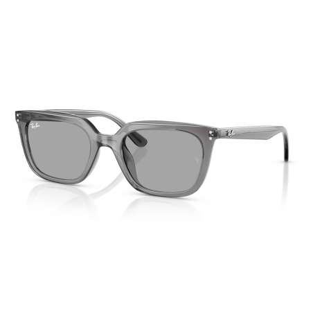 Ray Ban 4439D Transparent Grey