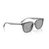Ray Ban 4439D Transparent Grey