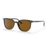 Ray Ban Elliot Havana