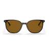Ray Ban Elliot Havana