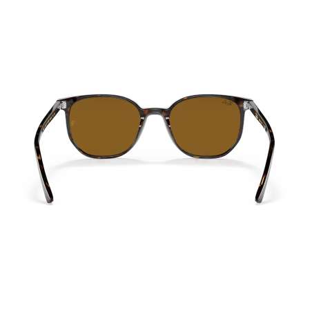 Ray Ban Elliot Havana