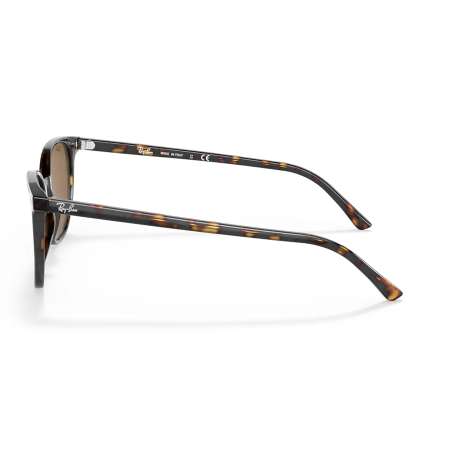 Ray Ban Elliot Havana