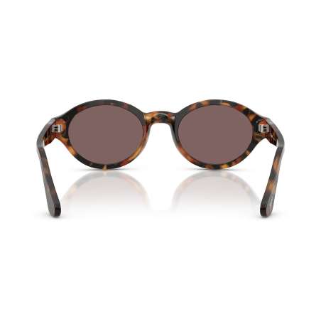 Persol 3378 Madreterra