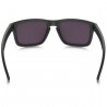 Oakley Holbrook Steel