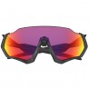 Oakley Flight Jacket Matte Black / Polished Black